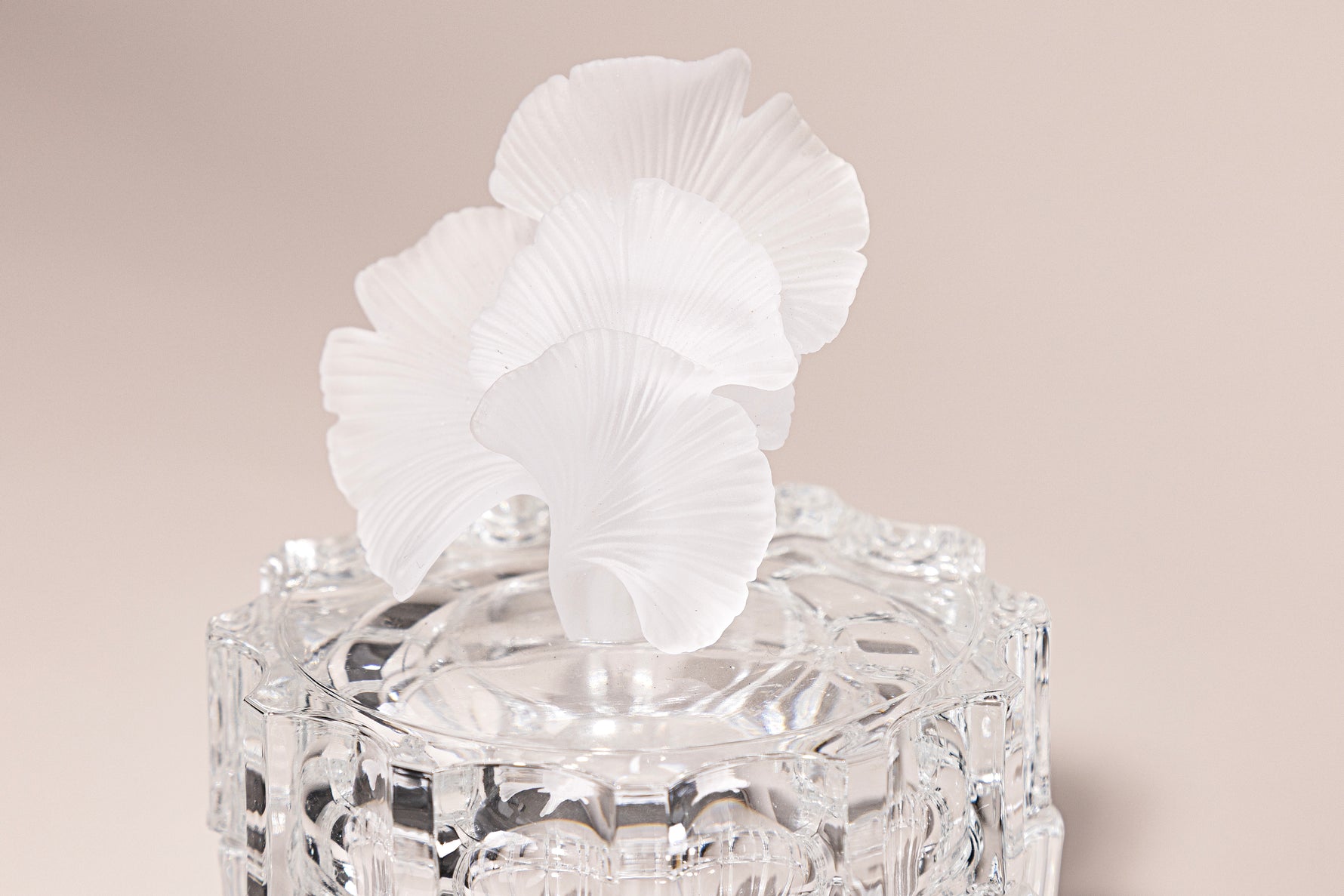 Lumiere Petal – هدية فاخرة من أتيليه كاروسيل – صورة 2