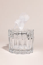 Lumiere Petal – Italian crystal jar with frosted ginkgo leaf lid فاخر من أتيليه كاروسيل