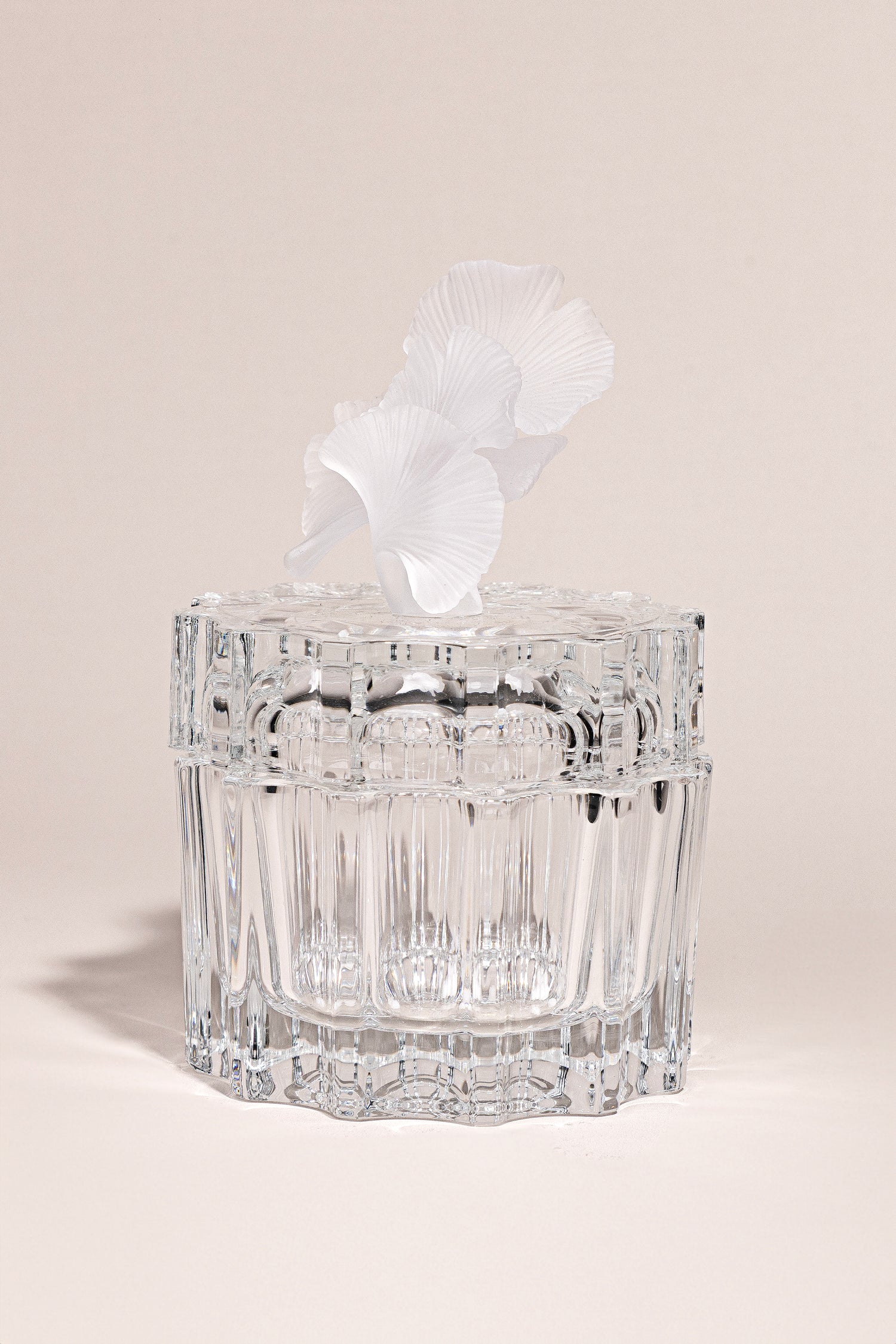 Lumiere Petal – Italian crystal jar with frosted ginkgo leaf lid فاخر من أتيليه كاروسيل
