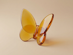 Butterfly Sparkle luxury gift by Atelier Carrousel – image 5