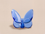 Butterfly Sparkle luxury gift by Atelier Carrousel – image 4