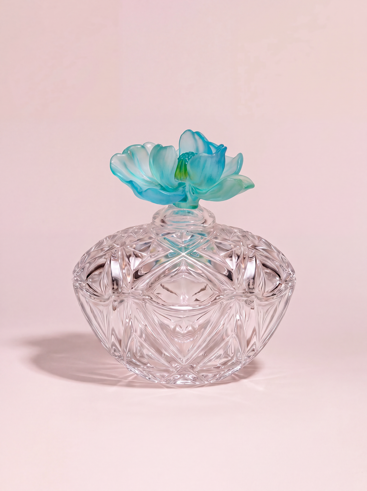 Magnolia